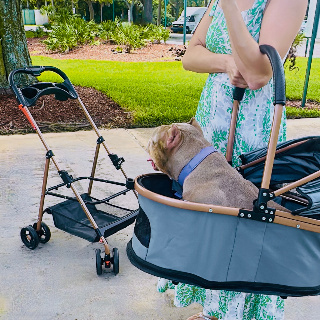 Luxury Pet Stroller for Small & Medium Dogs with Individual Basket