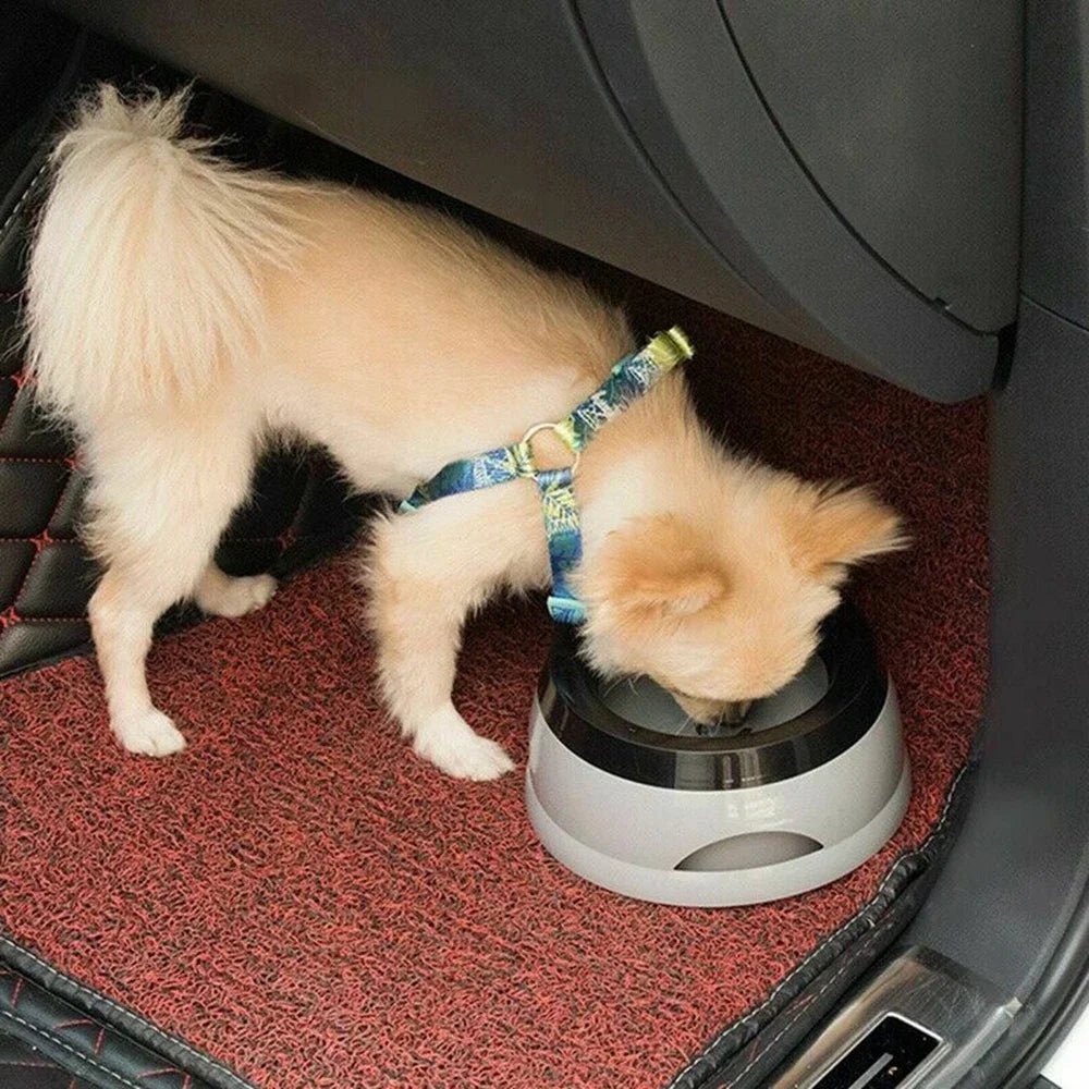 Dog Travel Water Bowl - Non-Spill Floating Design for Vehicles