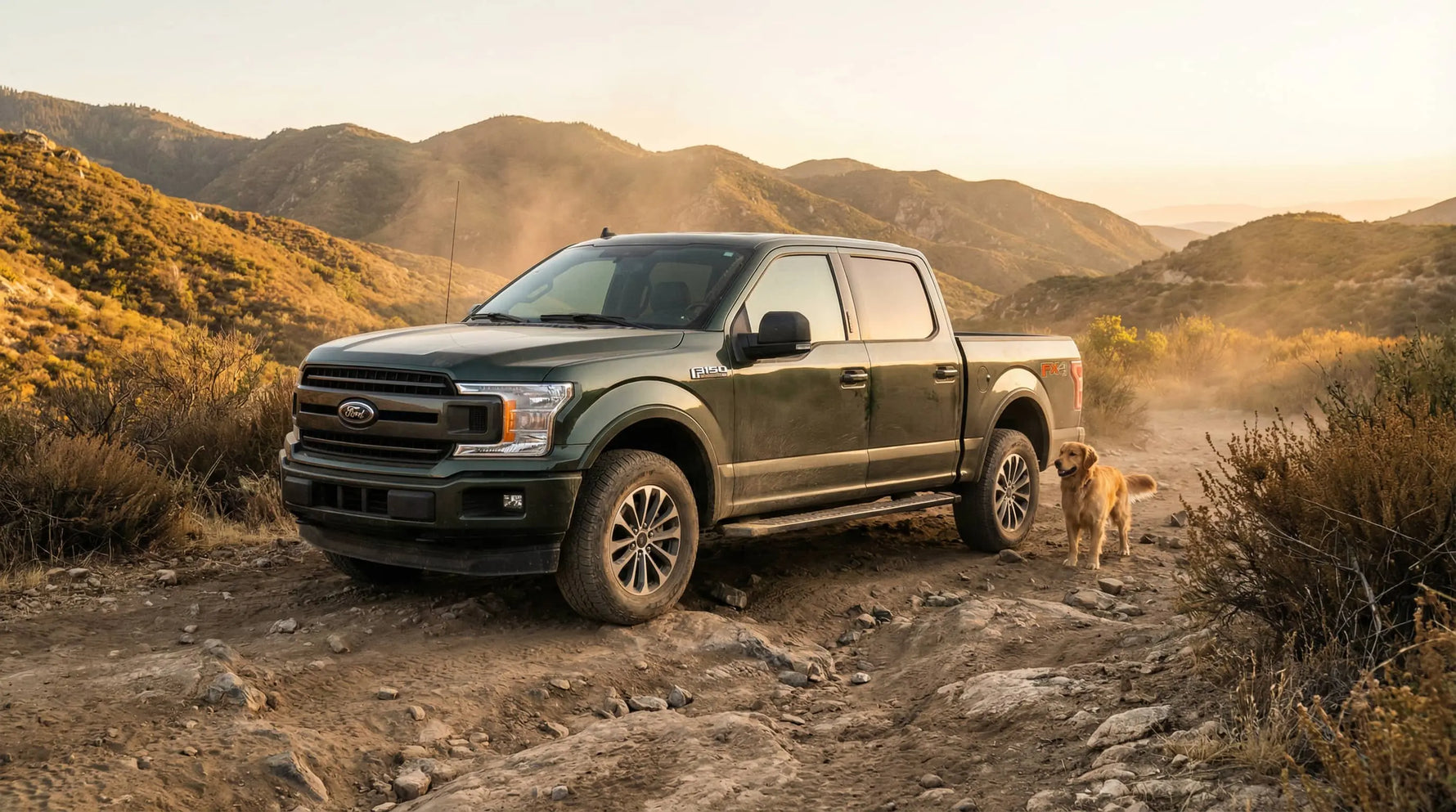 Ford F-150 with dog on the side in a hiking trip