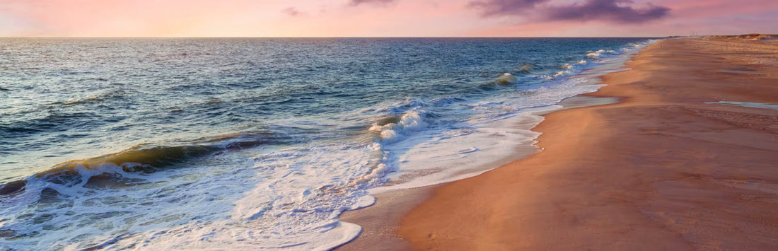 Delaware Dog Beach