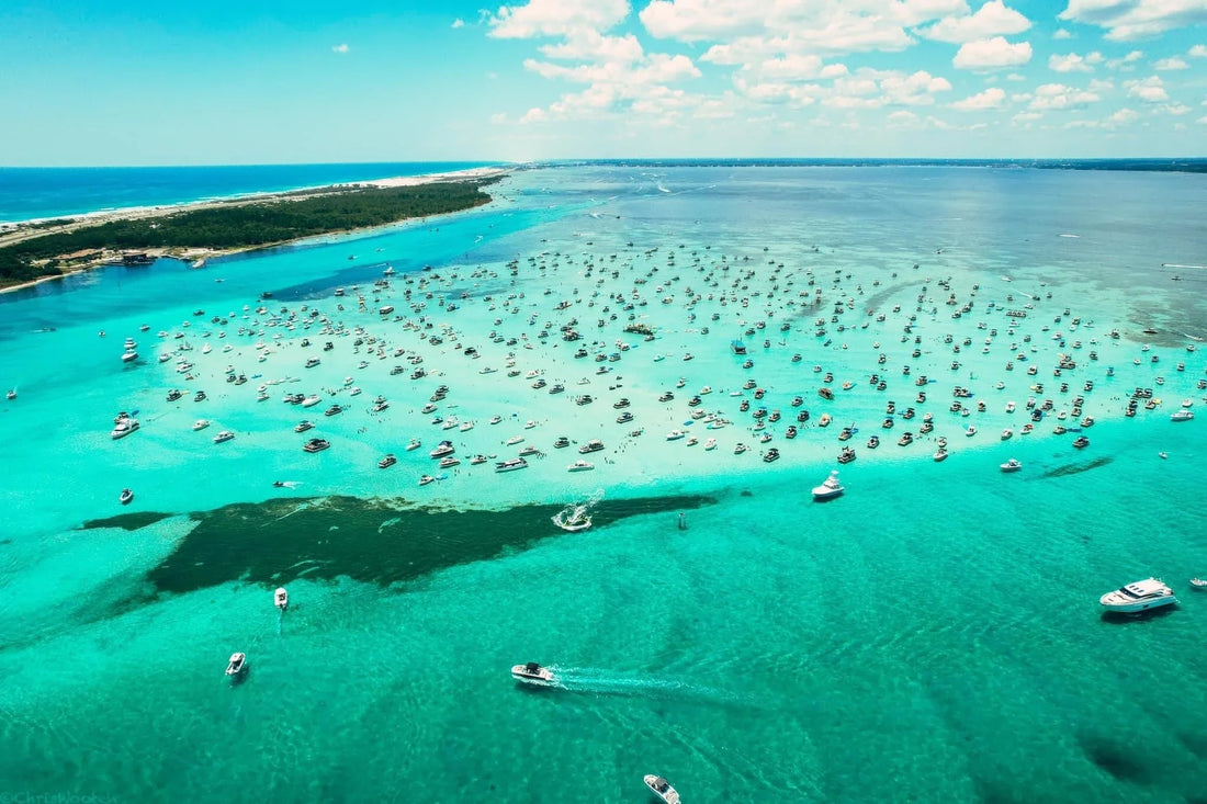 destin fl dog friendly beaches