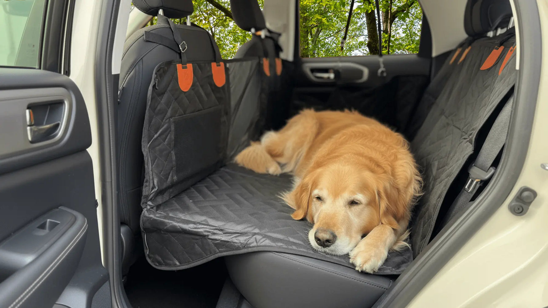 dog seeping in a hard bottom backseat cover inside a car