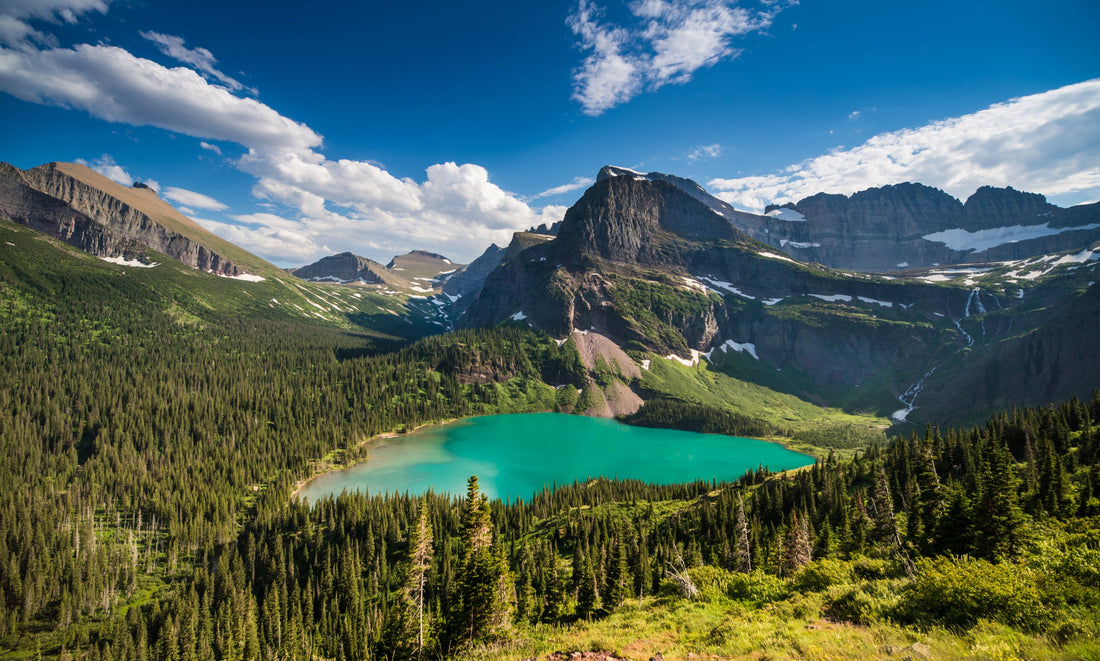 Dog-Friendly Road Trips Across the U.S. You’ll Both Love