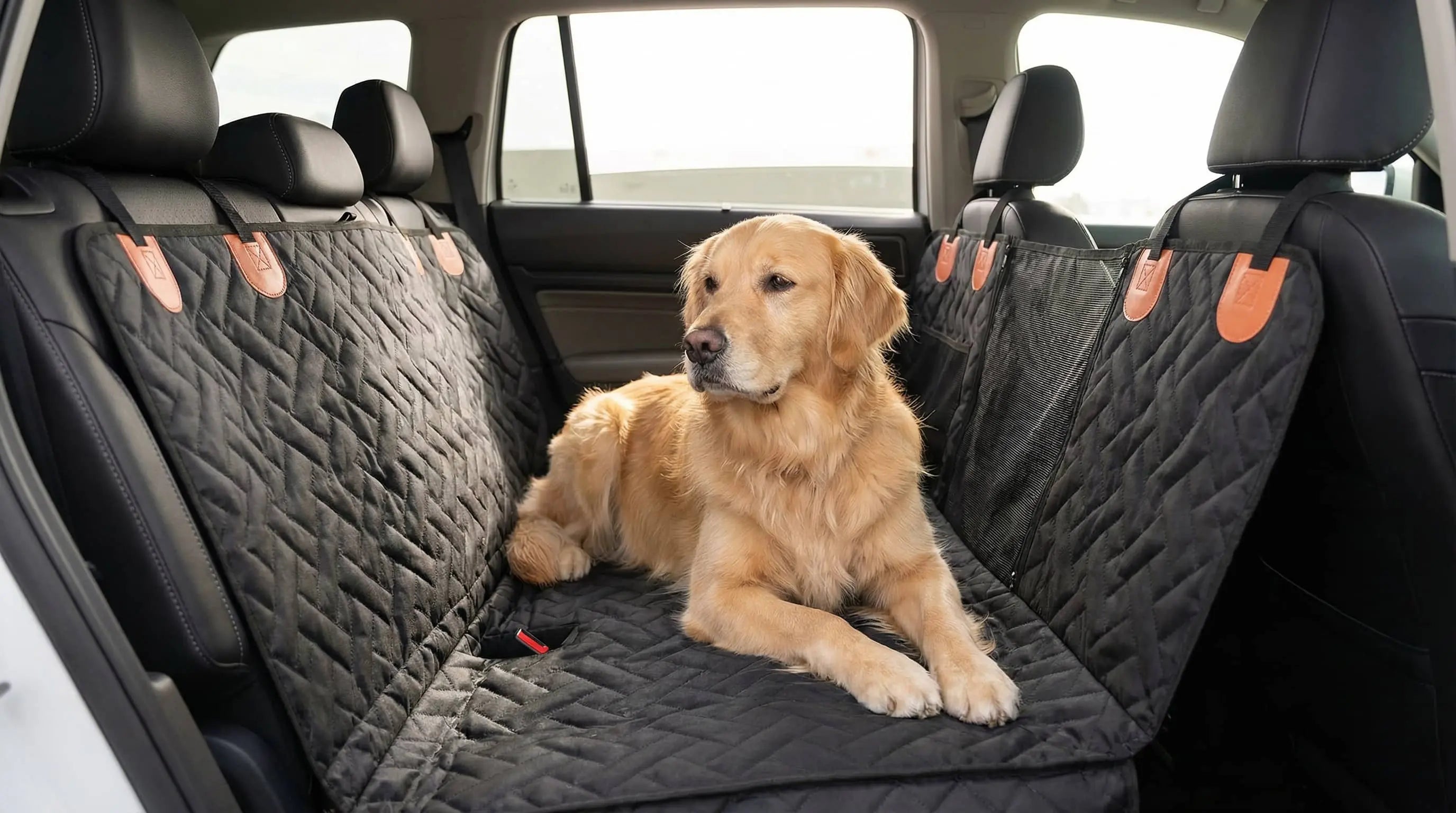 Are Dog Seat Covers Safe for Leather Seats? Complete 2026 Guide