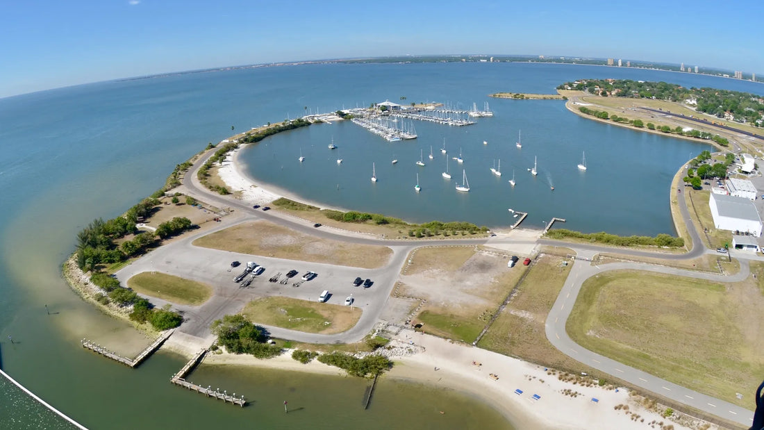 davis island dog beach
