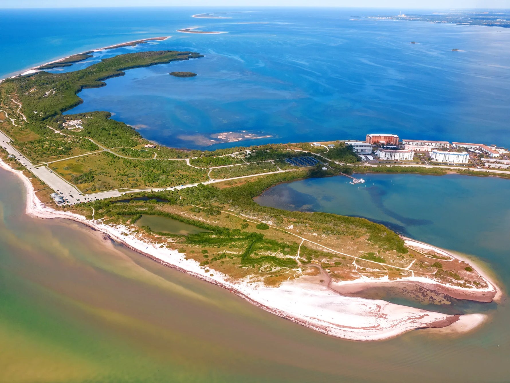 honeymoon island dog friendly beaches