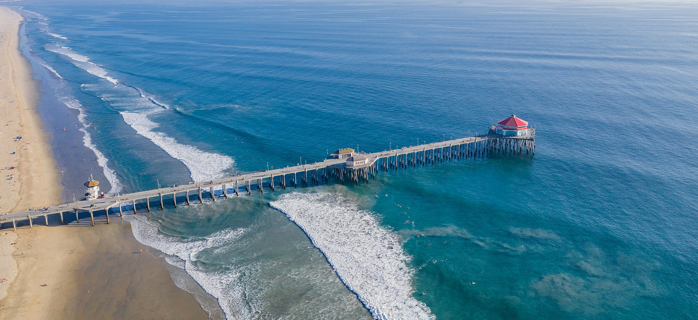 huntington beach california dog beach