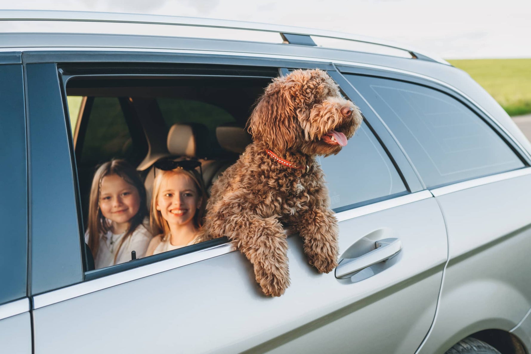 How to Set Up Your SUV for a Road Trip with Kids and Dogs?