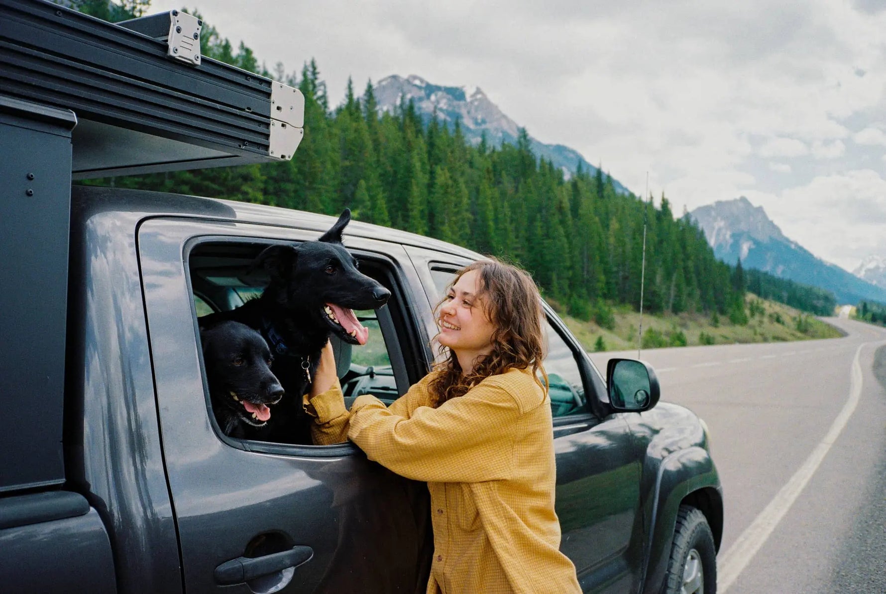 Two Big Dogs in a Truck