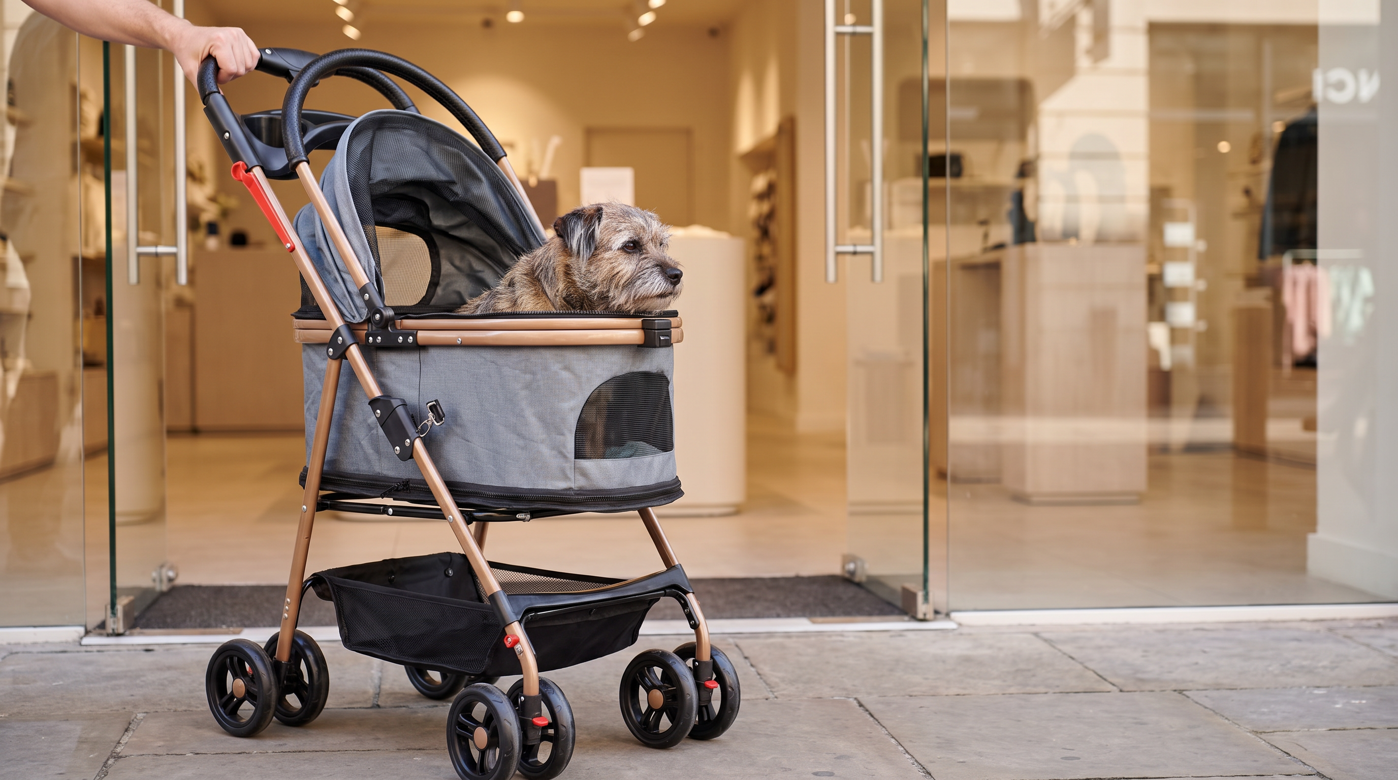 A Whisker Bark pet stroller parked outside a shop entrance with a small terrier inside