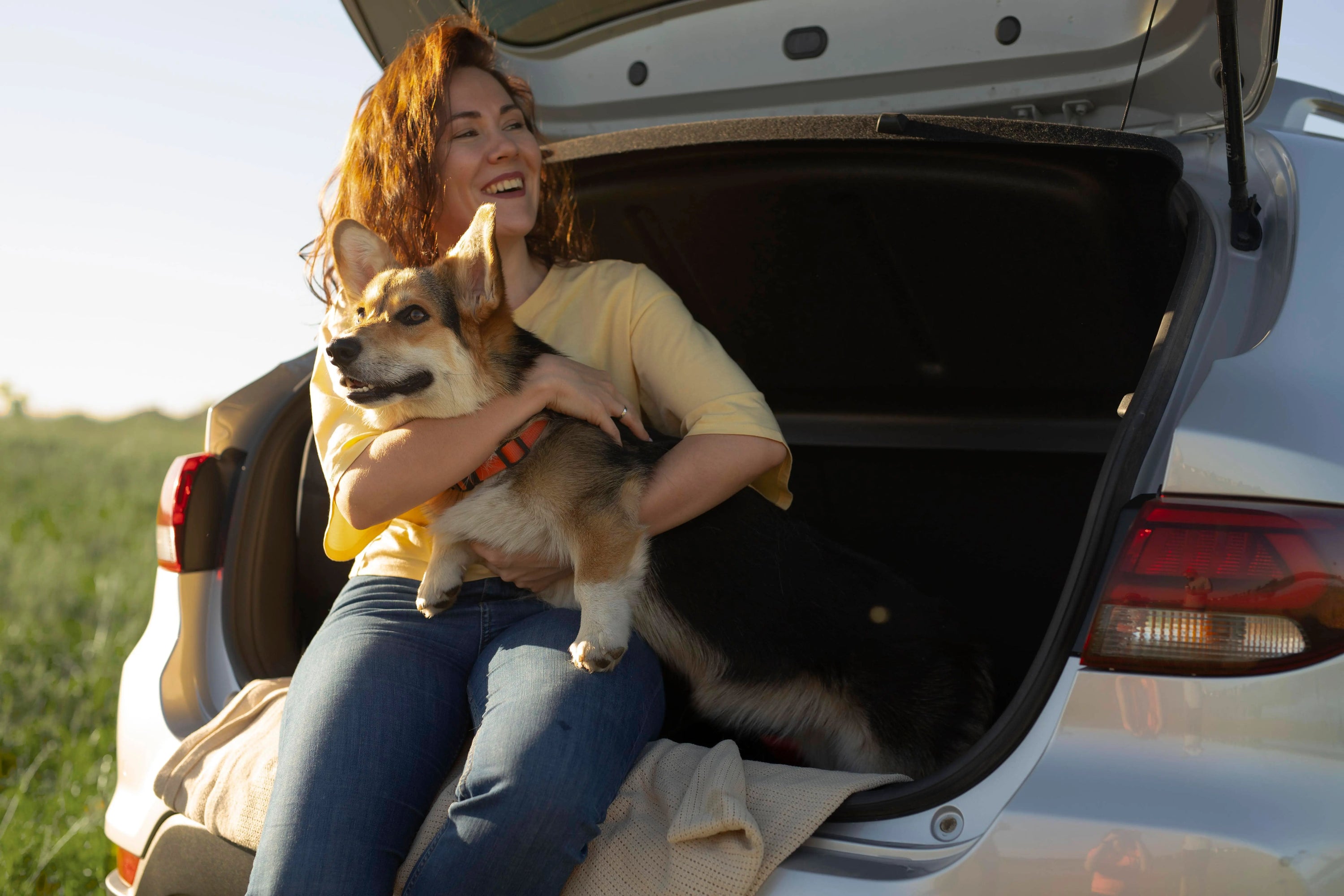 Dog Seat Covers For SUVs Cargo And Backseat Guide