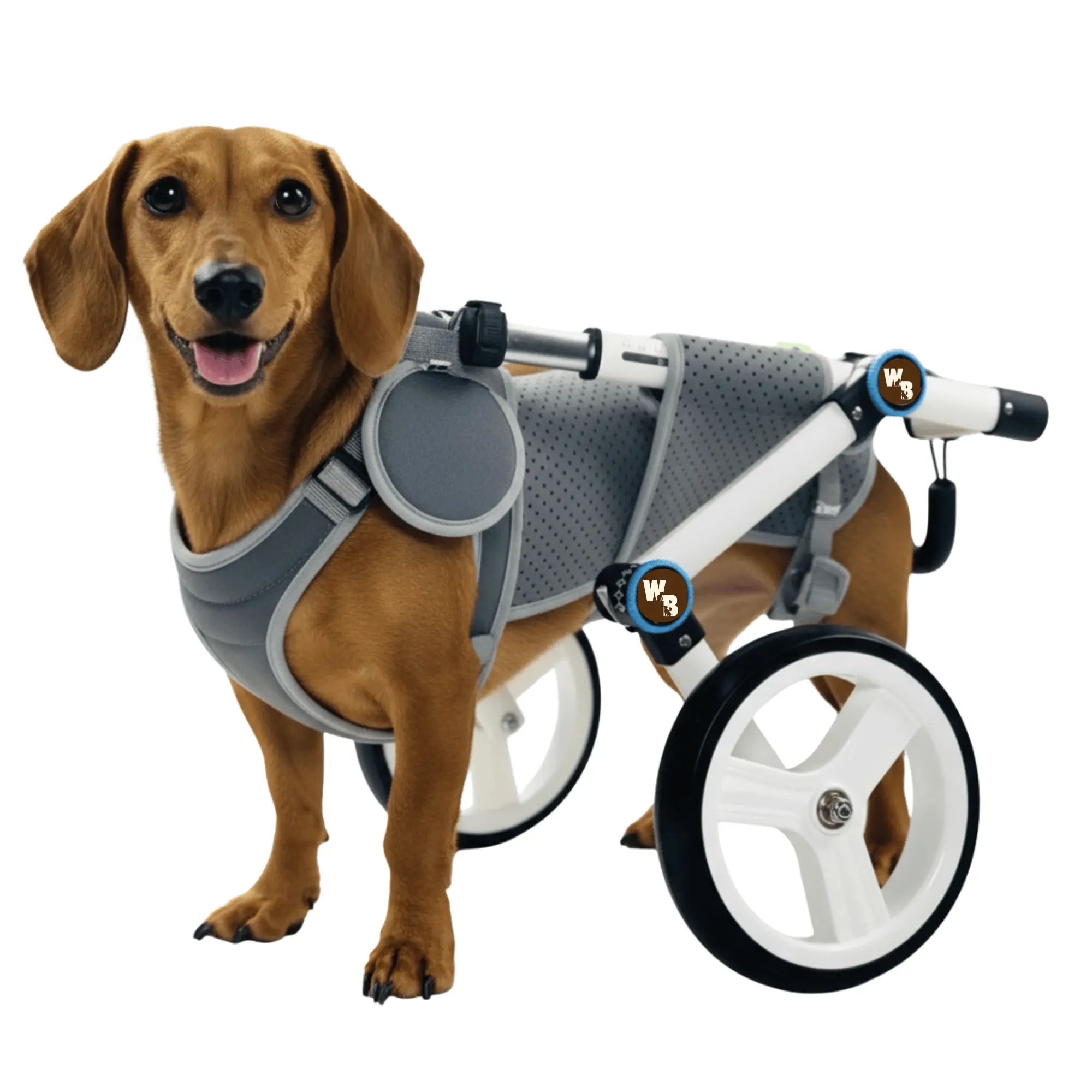 Adjustable Dog Wheelchair | Pet Assistance Walking Wheels