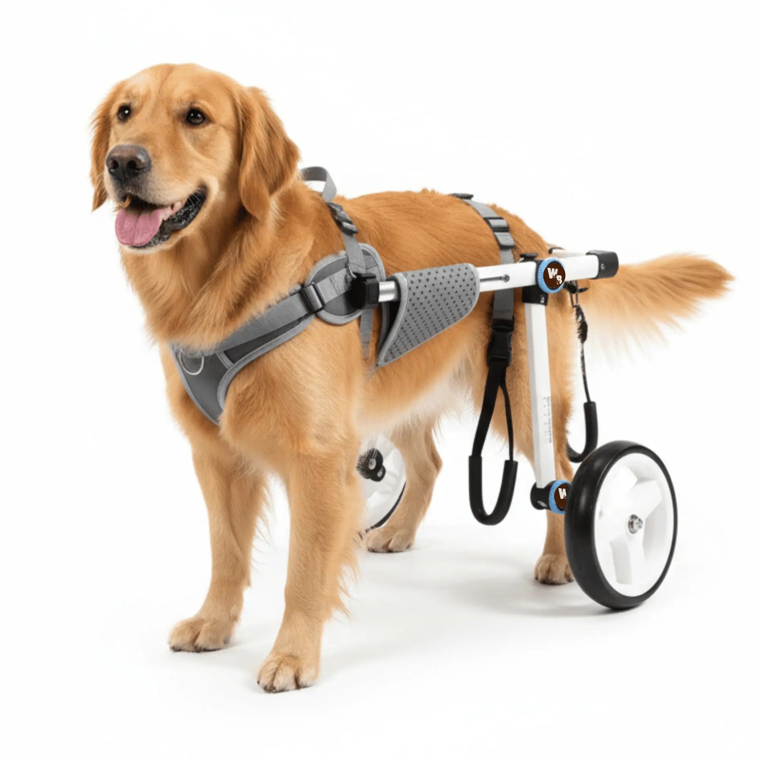 Adjustable Dog Wheelchair | Pet Assistance Walking Wheels