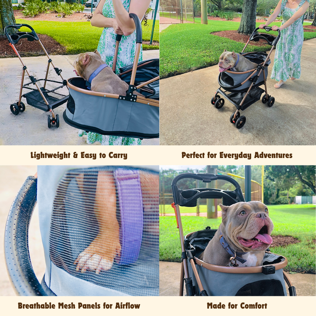 Whisker Bark Luxury Pet Stroller for Small & Medium Dogs with Individual Basket