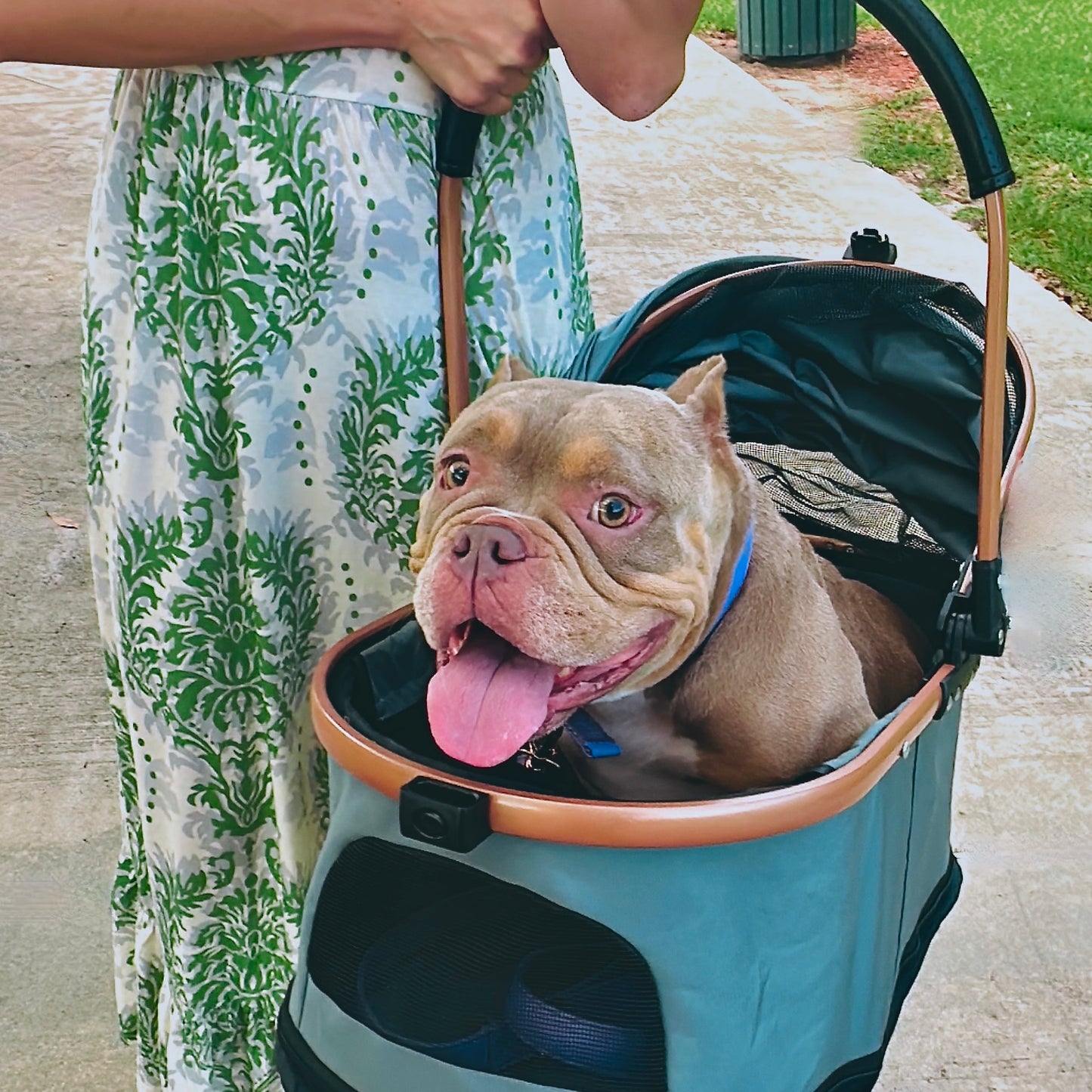 Luxury Pet Stroller for Small & Medium Dogs with Individual Basket
