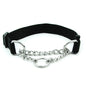 Chain Dog Collar