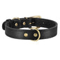 Black dog leather collar