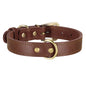 Brown dog leather collar