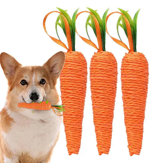 Carrot Dog Toy