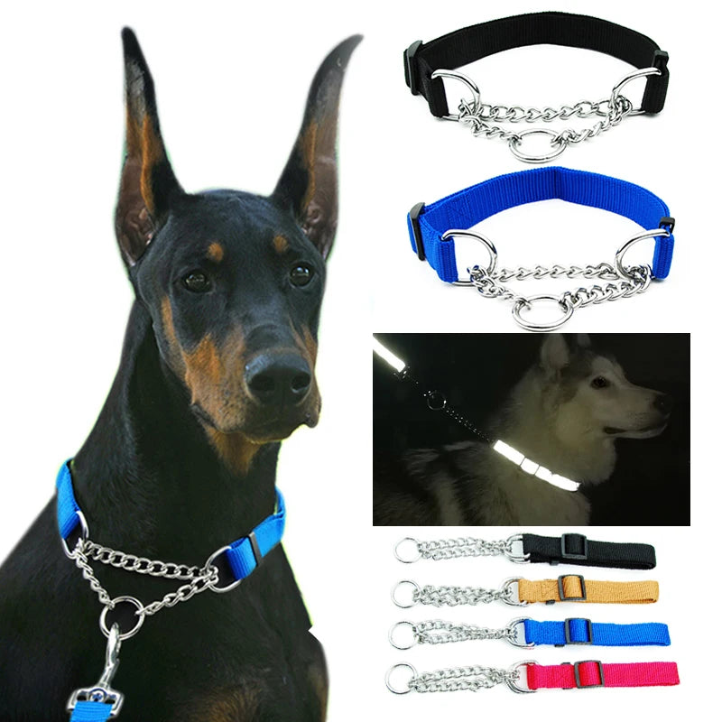 German Sheppard wearing a Blue Chain Dog Collar