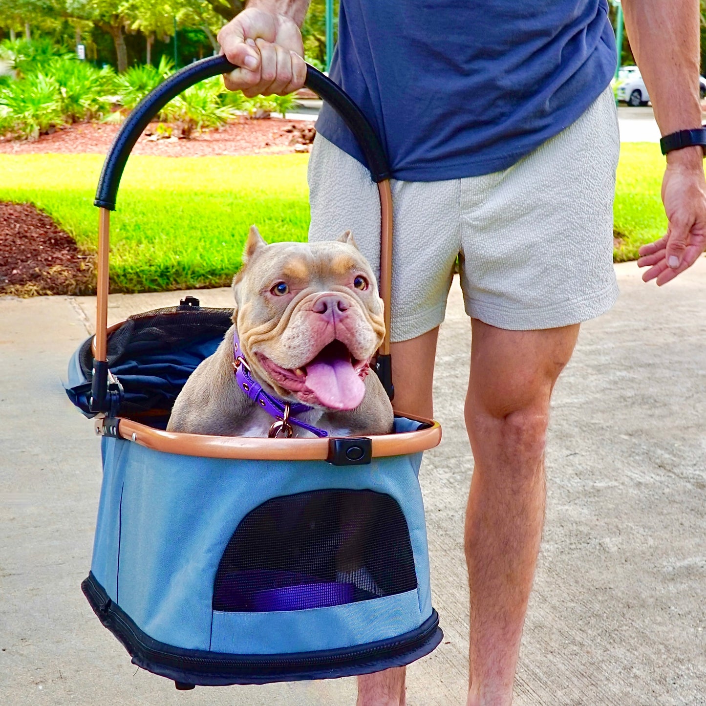 Luxury Pet Stroller for Small & Medium Dogs with Individual Basket