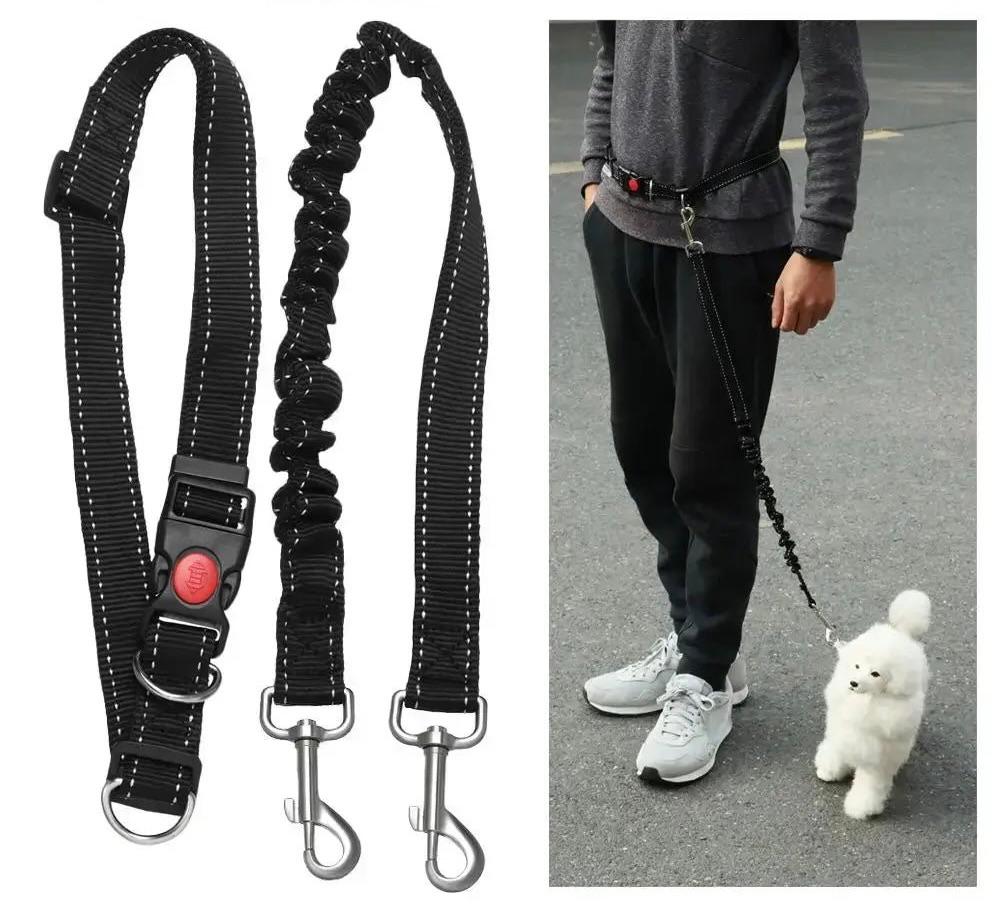 Dog Bungee Leash No Pull