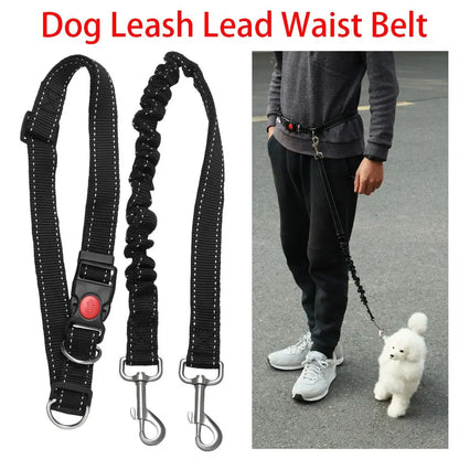 Dog Bungee Leash No Pull