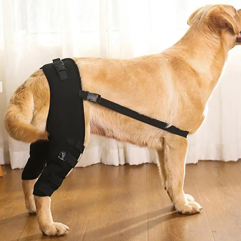 Dog Knee Brace