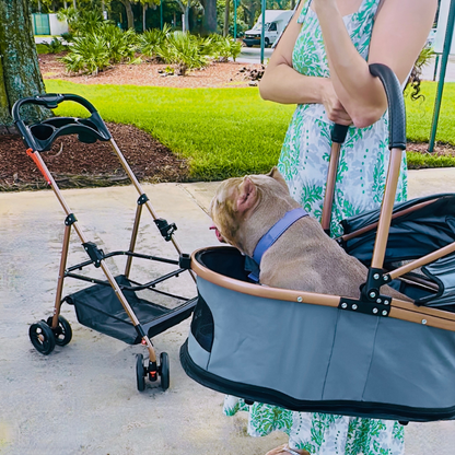 Luxury Pet Stroller for Small & Medium Dogs with Individual Basket