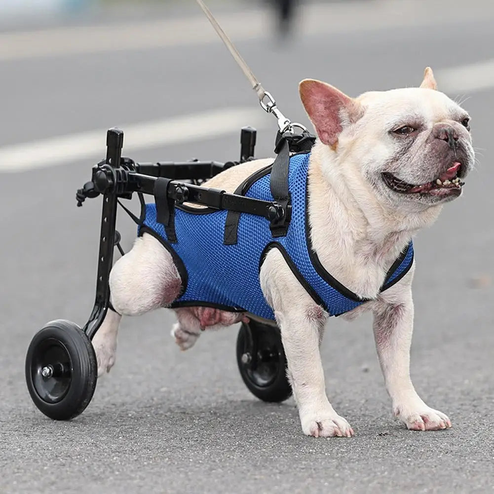 Dog Wheelchair