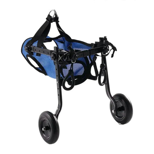 blue dog wheelchair