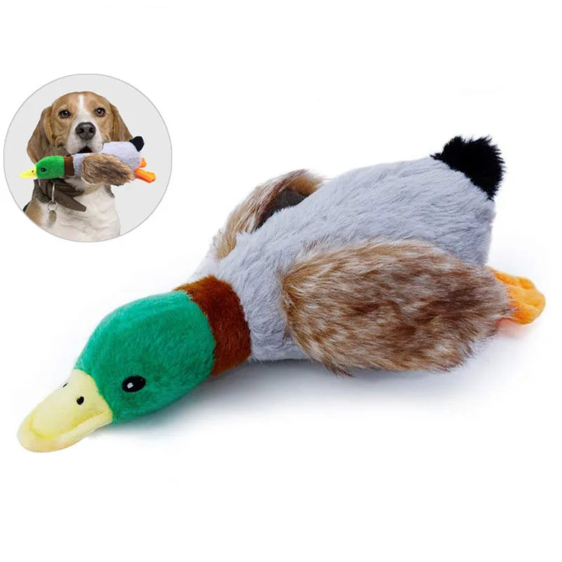 Duck Dog Toy