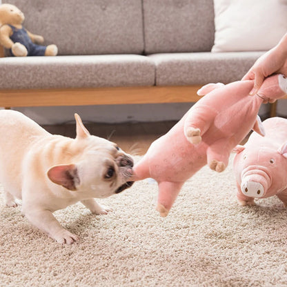 Pig Dog Toy for Small Dogs and Puppies