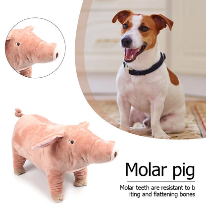 Pig Dog Toy for Small Dogs and Puppies