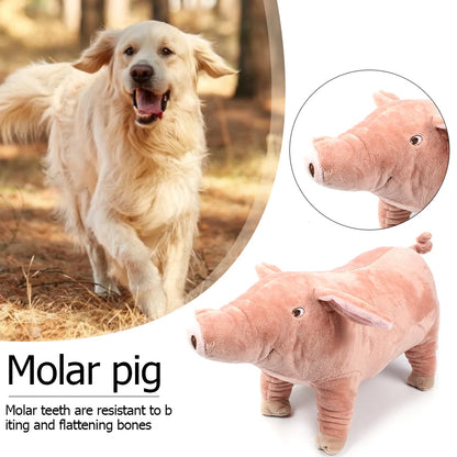 Pig Dog Toy for Small Dogs and Puppies