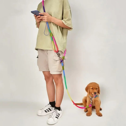 Hands-Free Dog Leash