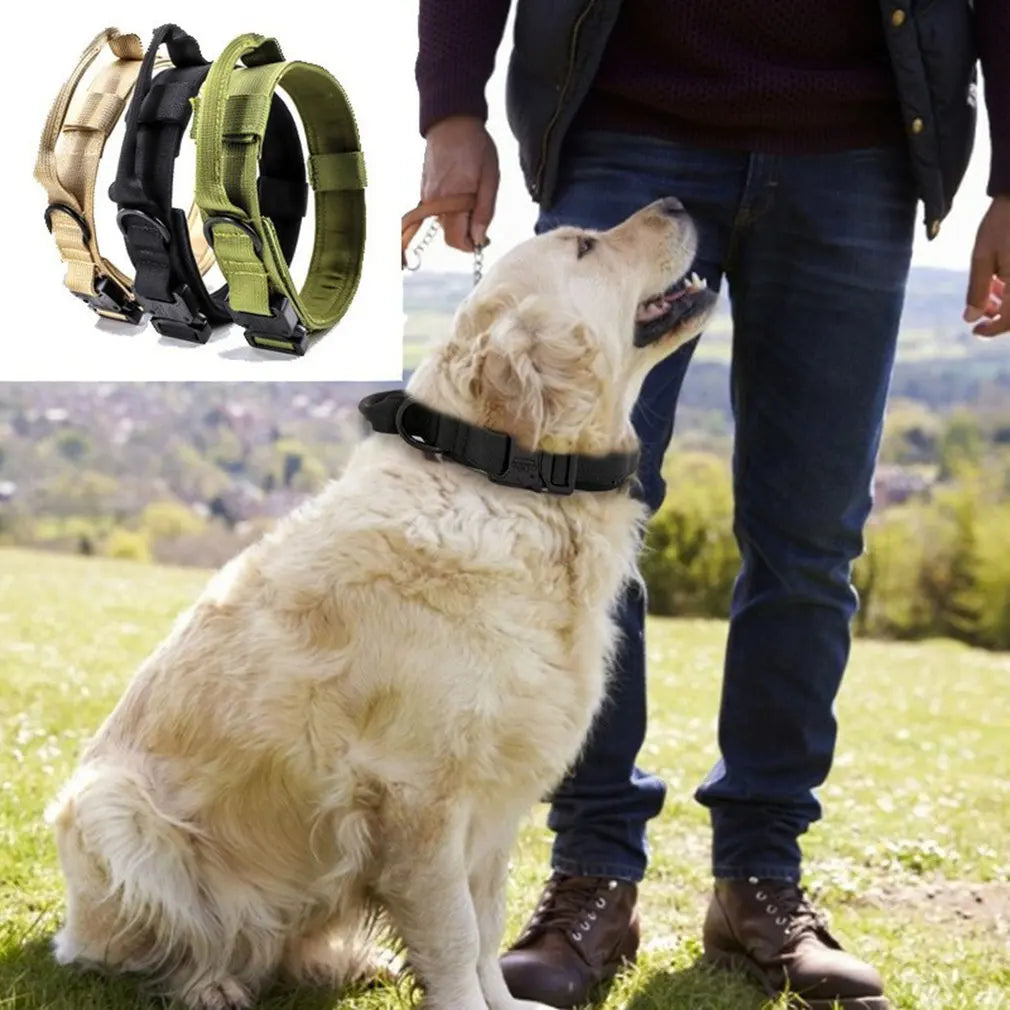 Tactical Dog Collar - Durable for Training & Hunting