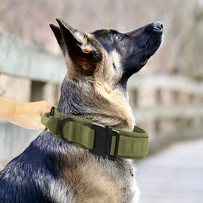 Tactical Dog Collar - Durable for Training & Hunting