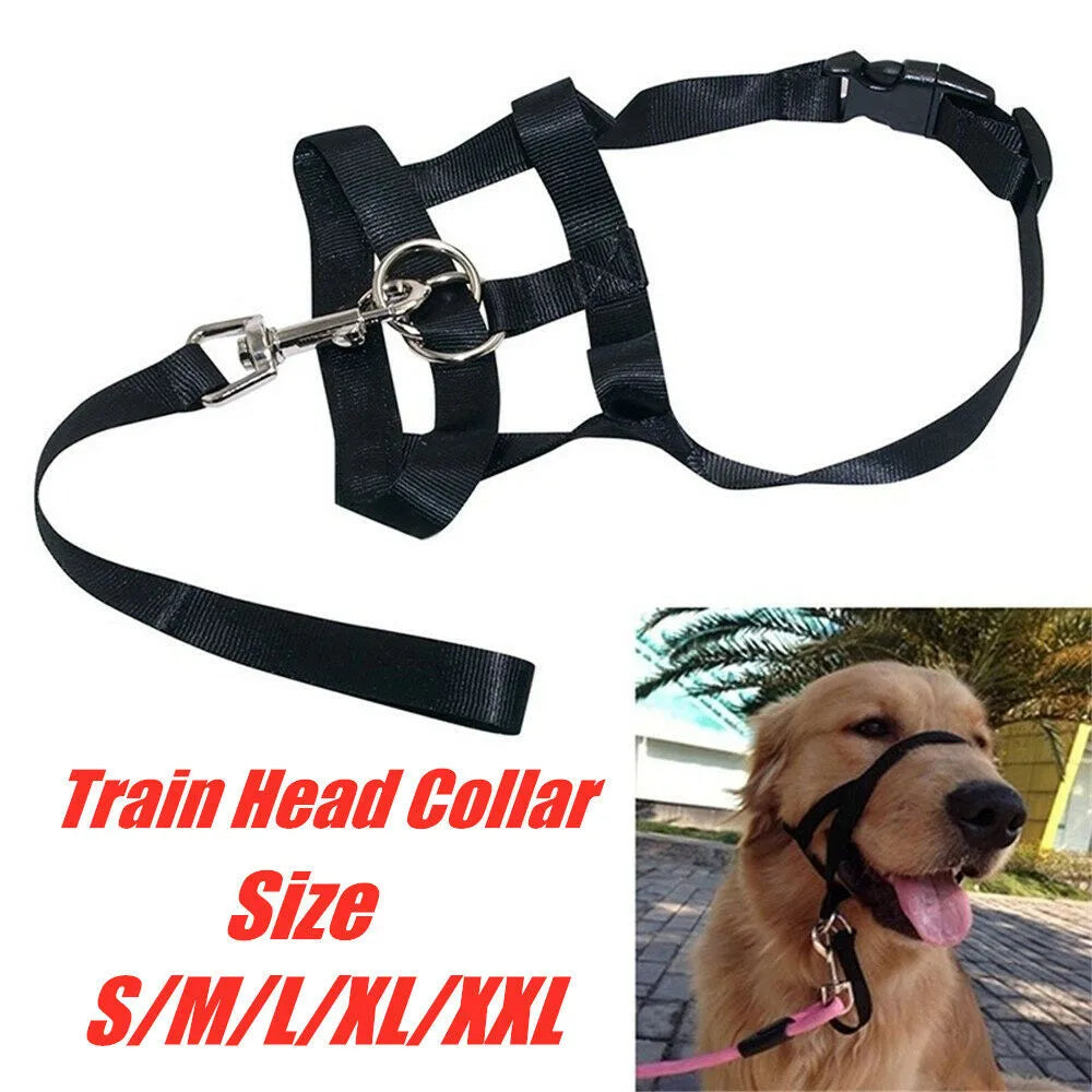 No Pull Dog Head Halter Training Collar | Leader Harness