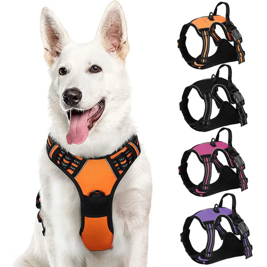 No Pull Dog Harness