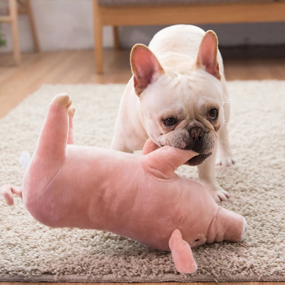 Pig Dog Toy