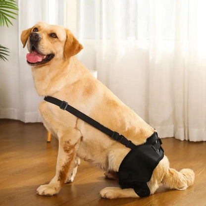 Dog Knee Brace & Leg Wraps for Joint Support & Pain Relief