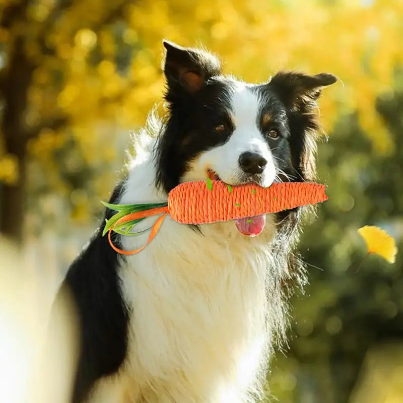 Carrot Dog Toy - Puppy Chew Toy for Teeth Cleaning 3Pcs Set