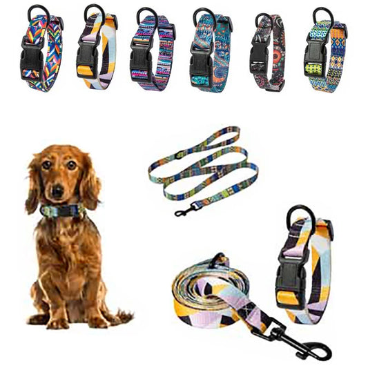 Adjustable Pet Collar | Pet Leash Set for Dogs and Cats