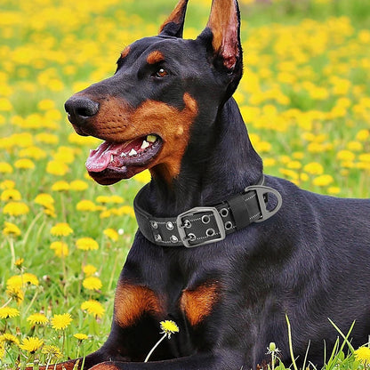 Military Dog Collar for Large Dogs | Ideal for Training & Hunting