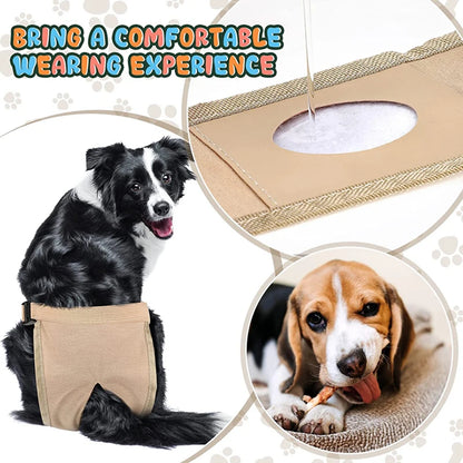 Dog Menstrual Pads | Protective Pants with Sanitary Pads for Female Dogs