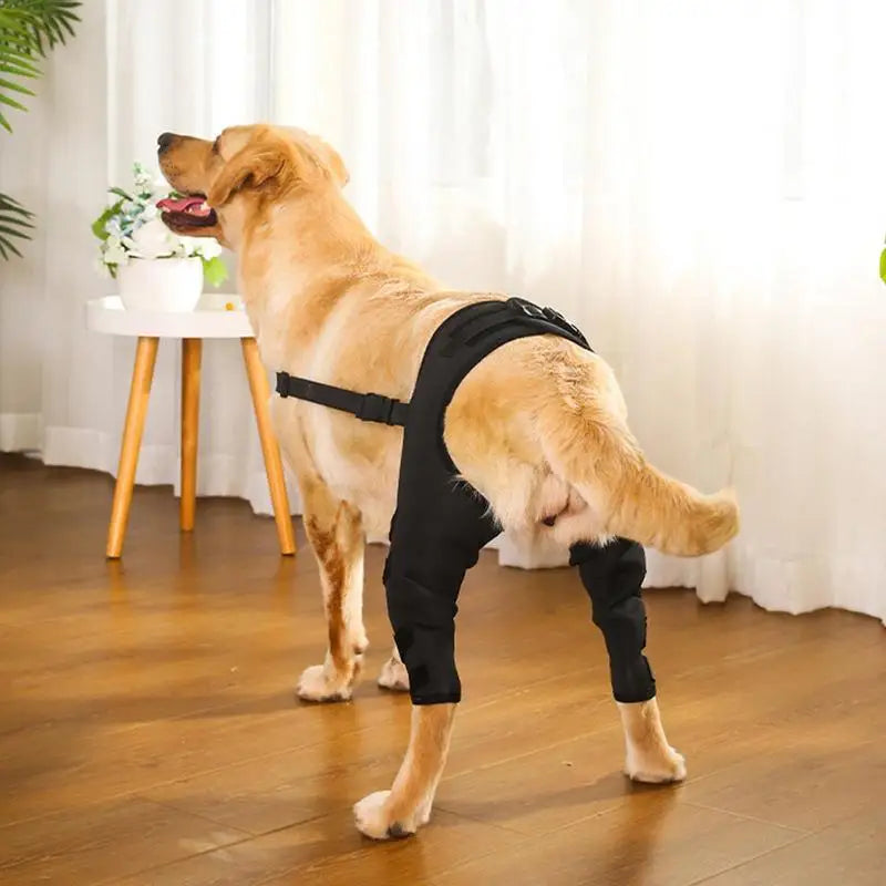 Dog Knee Brace & Leg Wraps for Joint Support & Pain Relief