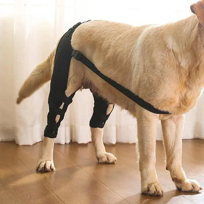 Dog Knee Brace & Leg Wraps for Joint Support & Pain Relief