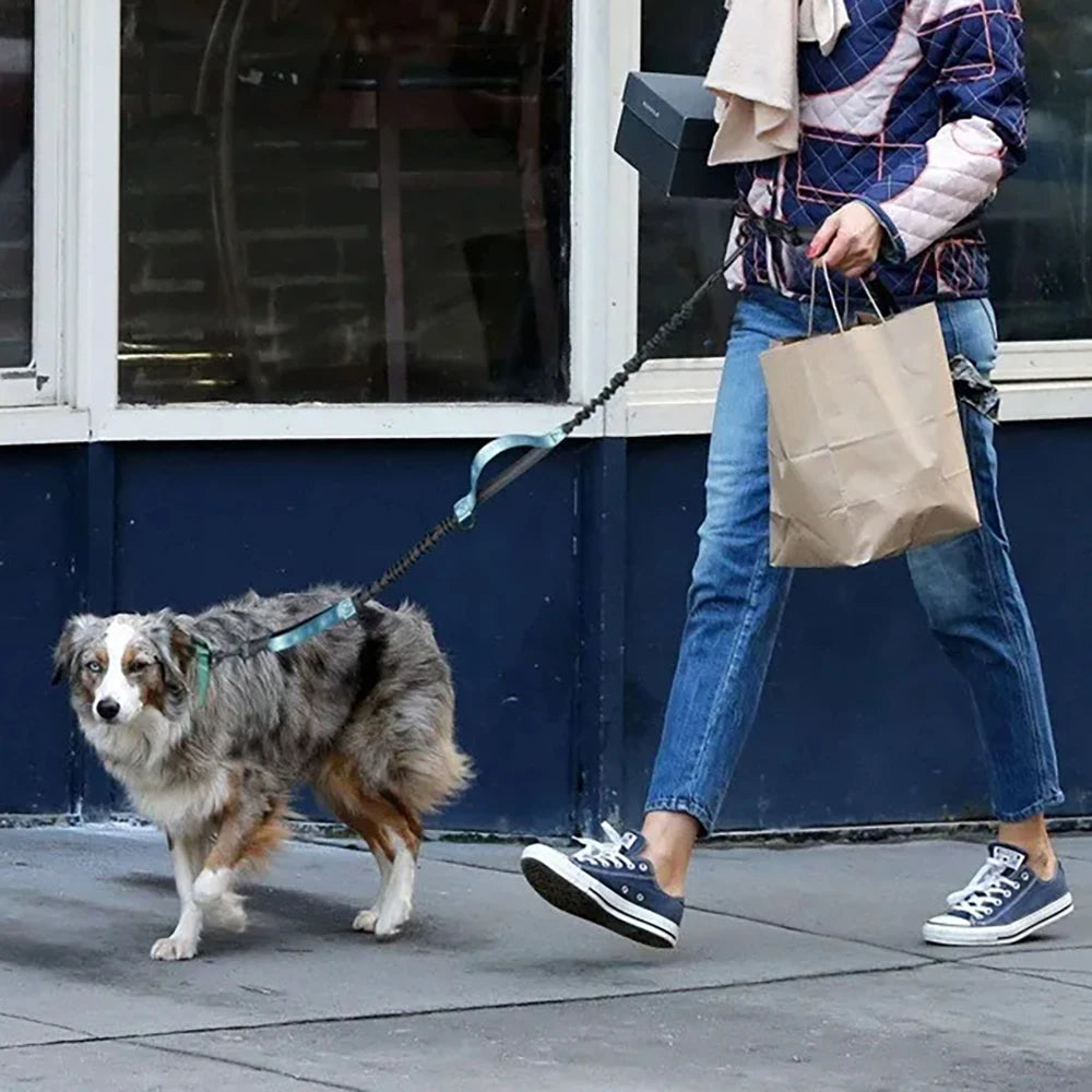 Hands-Free Reflective Waist Dog Leash with Double Handles