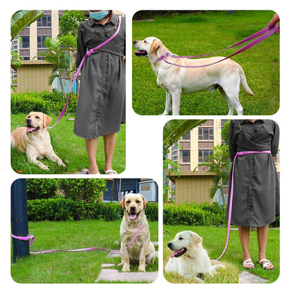 Multi-Functional PVC Dog Leash - Durable for Walking & Training